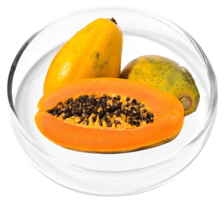 Pineapple and Papaya