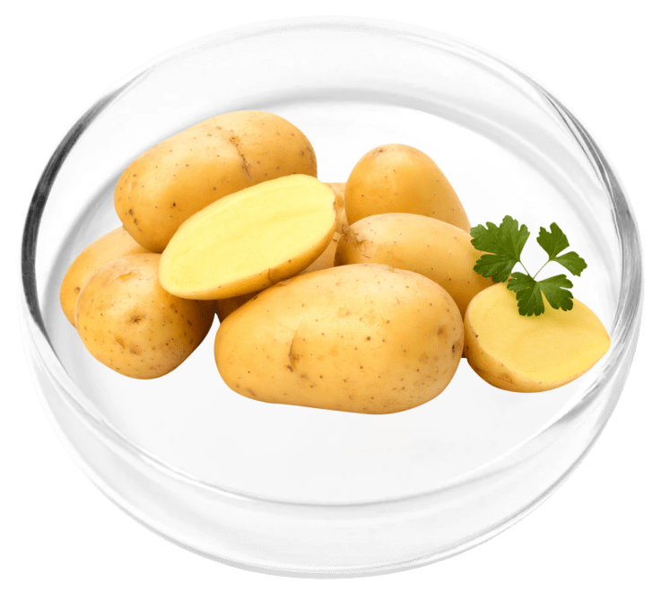 Vinpocetine